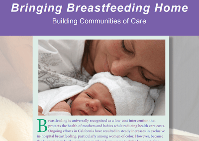 Bringing Breastfeeding Home: Building Communities of Care and  County Fact Sheets